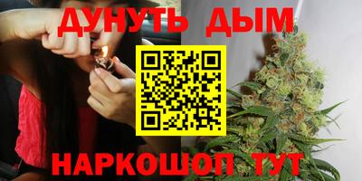 mdma Камышлов
