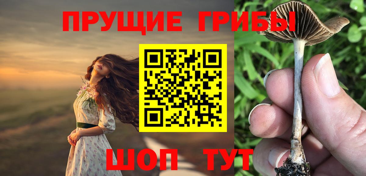 Галлюциногенные грибы MAGIC MUSHROOMS Шахты